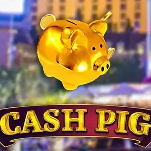 Cash Pig