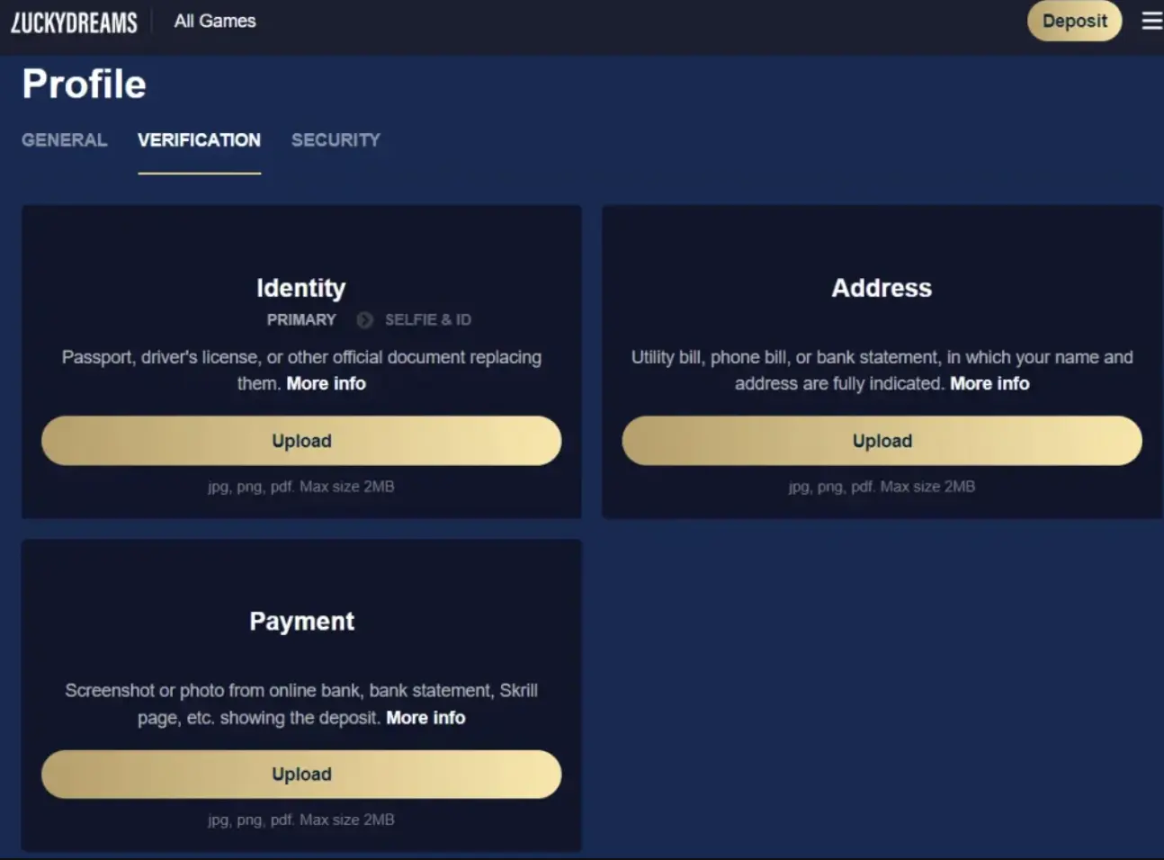 Profile interface for verification process
